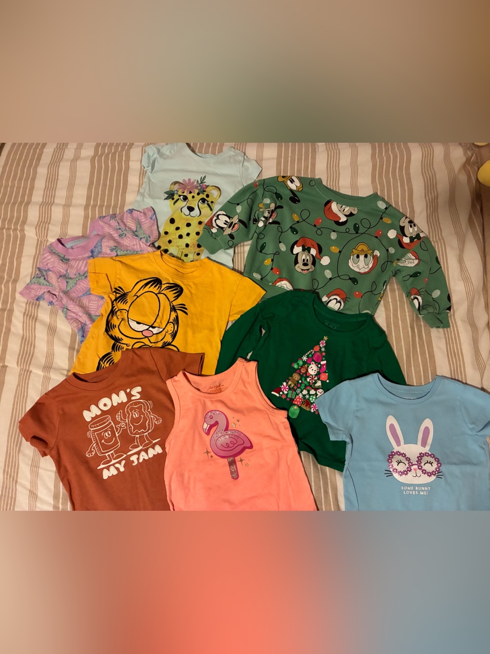 Mixed Lot of 18 month tops